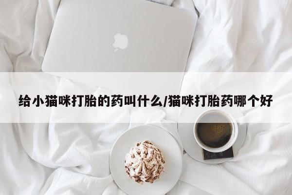 意外怀孕怎么买流产药给小猫咪打胎的药叫什么/猫咪打胎药哪个好