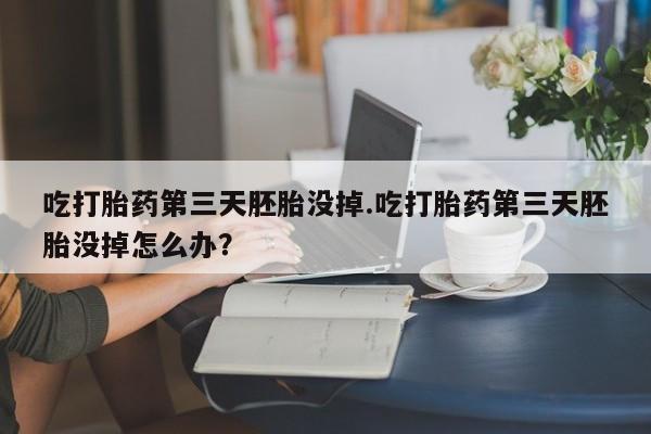 意外怀孕怎么买流产药吃打胎药第三天胚胎没掉.吃打胎药第三天胚胎没掉怎么办？
