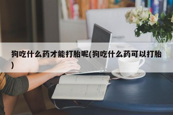 意外怀孕怎么买流产药狗吃什么药才能打胎呢(狗吃什么药可以打胎)