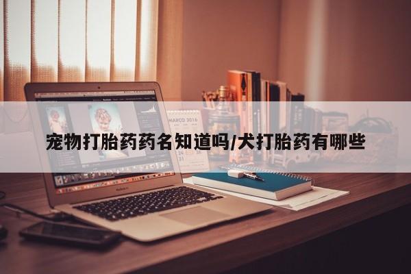 意外怀孕怎么买流产药宠物打胎药药名知道吗/犬打胎药有哪些